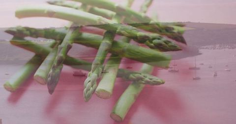 Fresh Asparagus and Coastal Harbor Blend