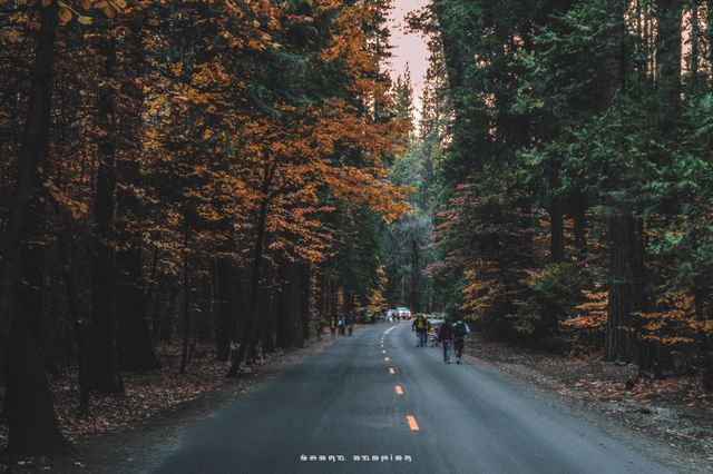 A peaceful forest road during autumn with vibrant fall foliage on both sides. People are seen walking and enjoying nature. This image is ideal for promoting outdoor activities, travel destinations, hiking experiences, and nature appreciation.