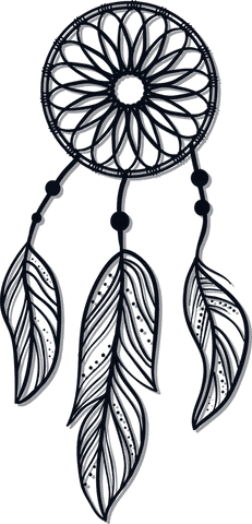 transparent hand-drawn dreamcatcher with feathers and beads - Download Free Stock Videos Pikwizard.com