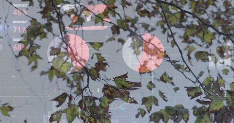 Autumn branches overlaying digital dashboards with pink pie charts and percentage labels