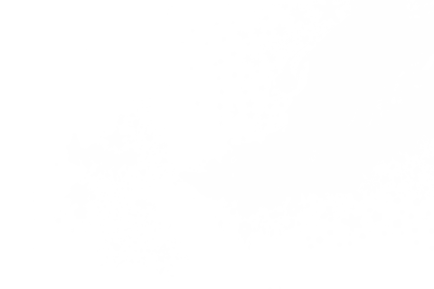 abstract black and white pattern on transparent background - Download Free Stock Videos Pikwizard.com