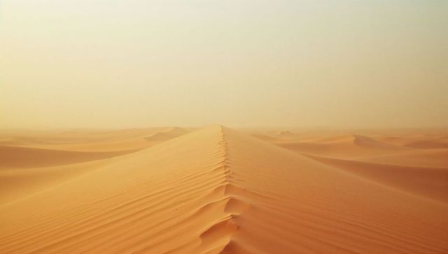 Endless sand dunes under golden desert sun
