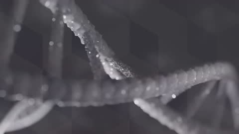 Elegant DNA Helix Animation Against Grey Background