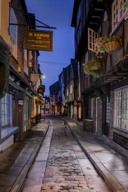 Depicts a serene, narrow cobblestone street in York during dusk. Illuminated with soft lighting, highlighting architecture and hanging signs. Ideal for projects focused on historic charm, travel destinations, or British culture.