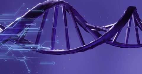 Futuristic DNA Double Helix with Circuit Overlay Concept