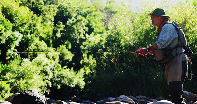 Senior Man Fly Fishing in Lush Greenery by Riverside - Download Free Stock Images Pikwizard.com