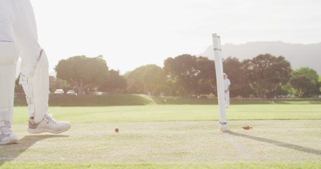 Cricket Player Knocking Over Stumps in Sunlit Field - Download Free Stock Images Pikwizard.com