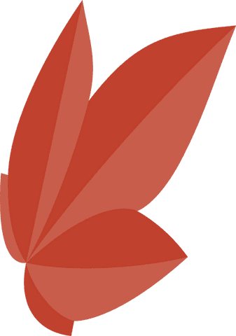 Transparent abstract geometric red petals art design
