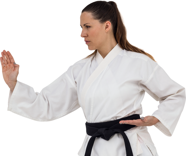 Female Fighter Performing Karate Stance in Traditional Uniform, Transparent Background - Download Free Stock Videos Pikwizard.com