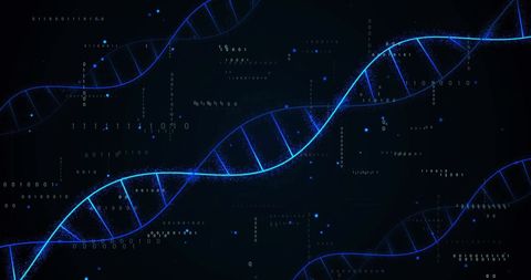 Digital DNA Strand Representation with Binary Coding - Download Free Stock Images Pikwizard.com