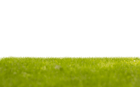 Lush Green Grass with Copy Space on Transparent Background - Download Free Stock Videos Pikwizard.com