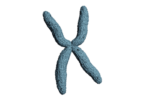 3d blue abstract shape on transparent background