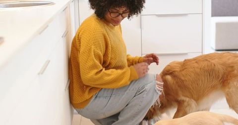 Woman Kneeling Feeding Two Golden Retrievers from Metal Bowl in Bright Home Kitchen