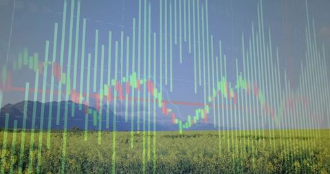 Rural field with financial chart overlay: agriculture and economic growth