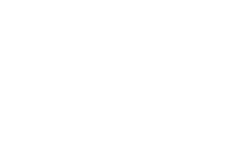 Digital Globe Wireframe with Data Labels on Transparent Background - Download Free Stock Videos Pikwizard.com