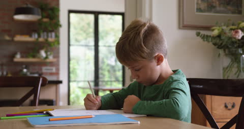 Young Boy Studying Intently at Home