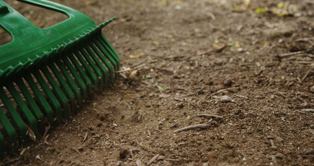 A green rake rests on the soil, indicating recent gardening or yard work. Raking is an essential activity for maintaining a tidy garden and preparing the ground for new plantings.