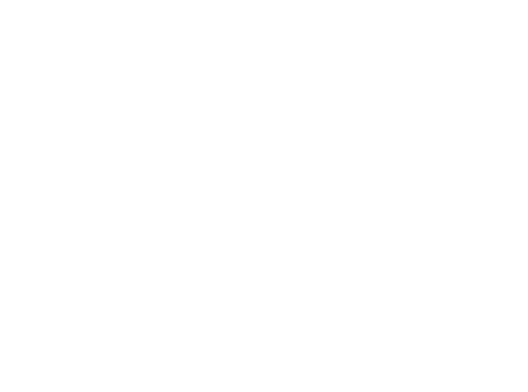 Elegant Abstract Holly Leaves and Berries on Transparent Background - Download Free Stock Videos Pikwizard.com