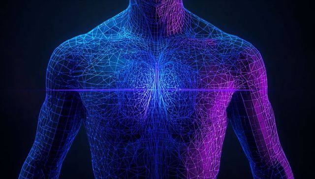 Displaying Digital Male Torso Wireframe Glowing Neon 3D Anatomy with Sternum Glow