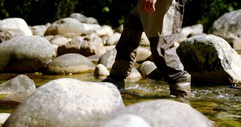 Fly Fisherman Wading Through Rocky River on Sunny Day - Download Free Stock Images Pikwizard.com