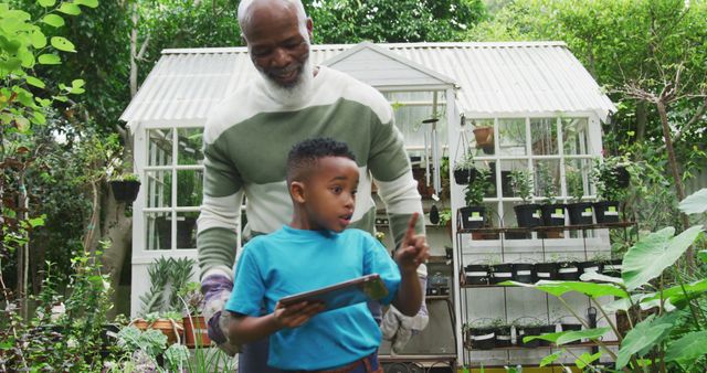 Grandfather and Grandson Gardening Together in Greenhouse - Download Free Stock Images Pikwizard.com