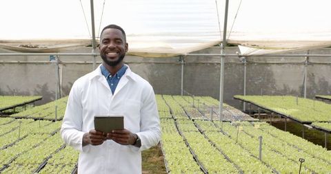 Scientist inspecting hydroponic farm with tablet in greenhouse