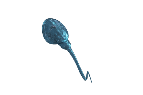realistic transparent sperm cell microscopic view - Download Free Stock Videos Pikwizard.com