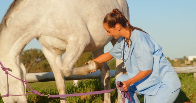 A young Caucasian female veterinarian is examining the leg of a white horse in an outdoor setting, with copy space. Her focused attention and professional attire suggest she is conducting a thorough health check on the animal.