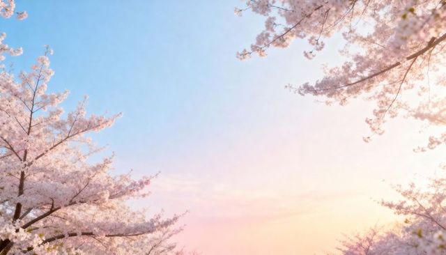 Framing cherry blossom canopy against pastel sunrise sky with drifting petals