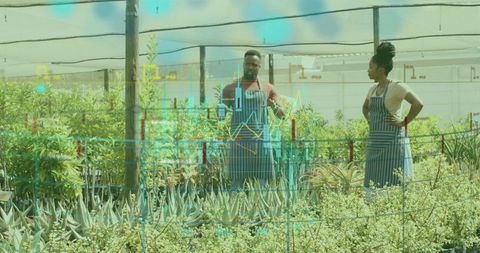 Examining succulents: nursery team monitoring irrigation, plant health, sustainable growing