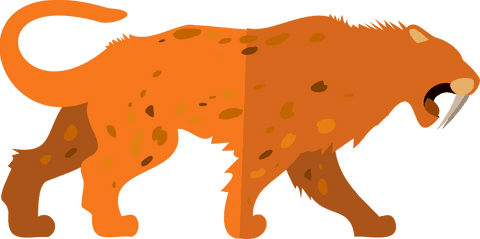 Prehistoric saber-toothed cat striding transparent background