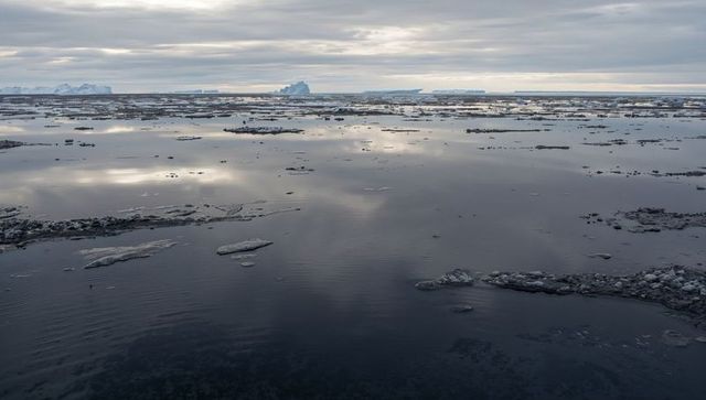 Polar sea reflecting low light with scattered ice floes and distant icebergs