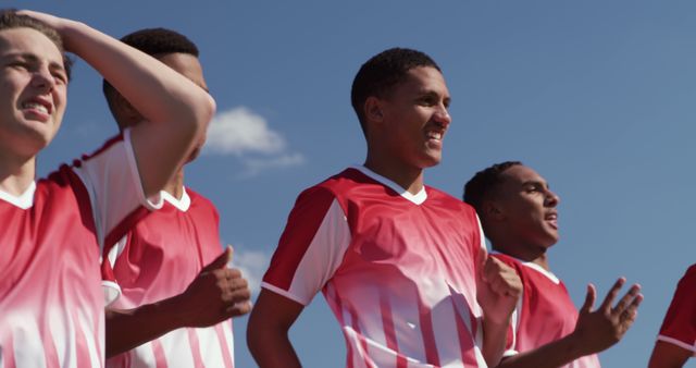 Teenage Soccer Players Cheering after Winning Match - Download Free Stock Images Pikwizard.com