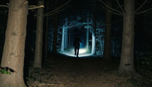 Silhouetted hiker walking night forest trail with blue flashlight beam among tall conifers