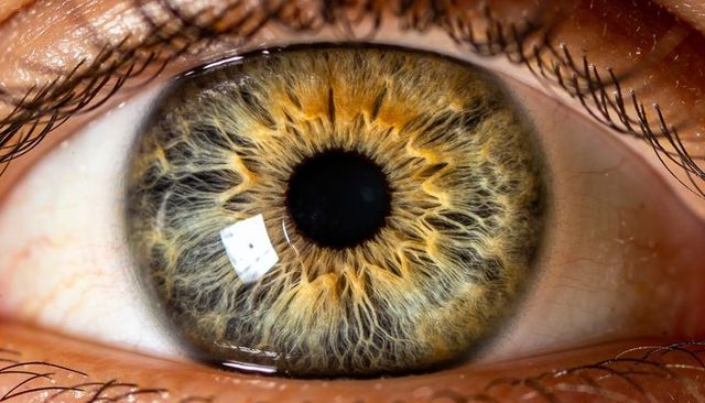 Macro close-up revealing amber green human iris radial texture with corneal reflection