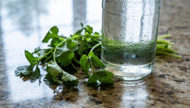 Cilantro sprigs resting on speckled granite countertop beside dewy glass bottle, soft window light