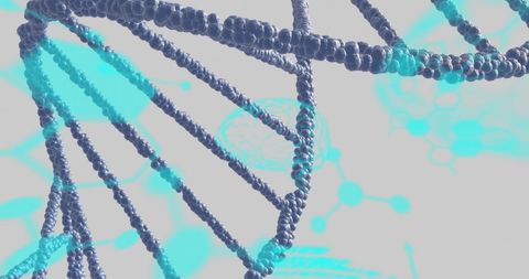 Dna helix and digital medical interface