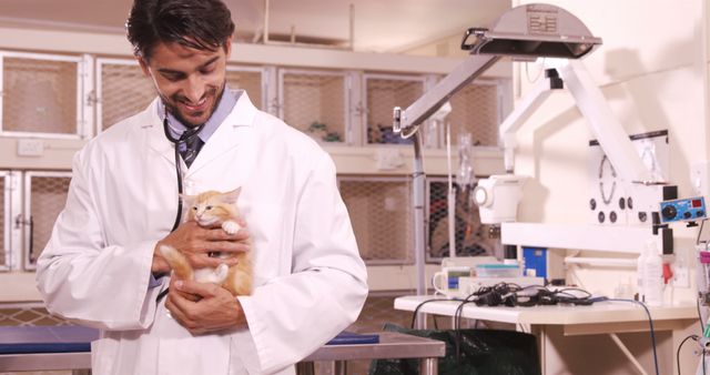 Veterinarian wearing a white coat, smiling while holding a kitten in a clinic. Medical equipment visible in background. Ideal for use in advertisements, blogs, and articles related to veterinary medicine, pet care, animal health, and veterinary practices.