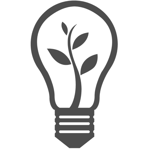 sustainable energy light bulb with leaves on transparent background - Download Free Stock Videos Pikwizard.com