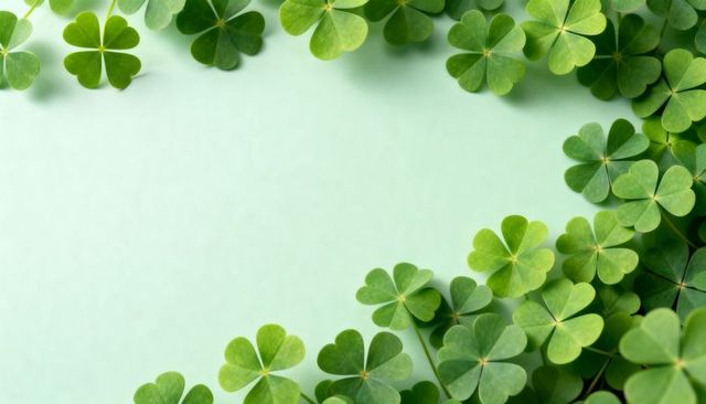 Lush clover border framing mint background for st patrick's day spring branding and cards