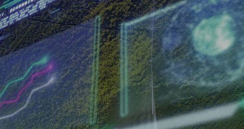 Futuristic data interface over forest canopy