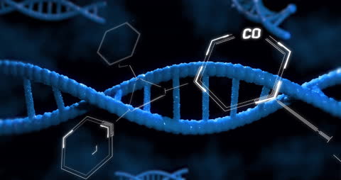 DNA Strands with Scientific Data Animation