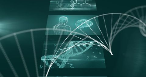 Digital DNA Structure and Medical Data Interface Concept - Download Free Stock Images Pikwizard.com