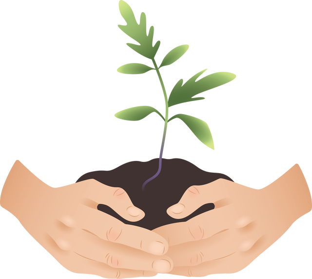 Hands Holding Seedling in Soil Illustration on Transparent Background for Environmental Conservation - Download Free Stock Videos Pikwizard.com