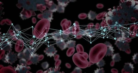 Visualizing connections between blood cells and virus particles