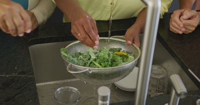 Mature Hands Washing Fresh Kale Leaves in Kitchen Sink - Download Free Stock Images Pikwizard.com