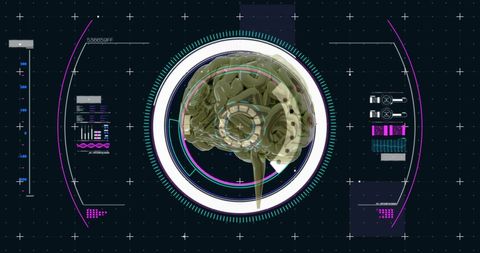 Human Brain Digital Interface with Holographic Data Display - Download Free Stock Images Pikwizard.com