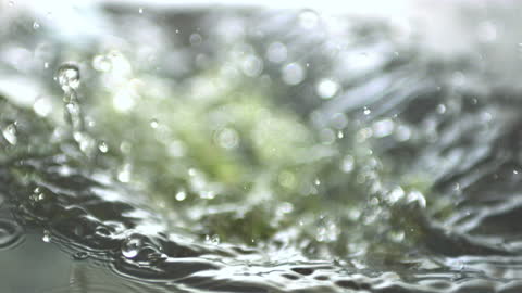 Vibrant Asparagus Stalks Splashing into Water