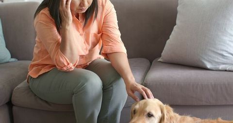 Mature asian woman sitting on gray sofa petting golden retriever expressing companionship