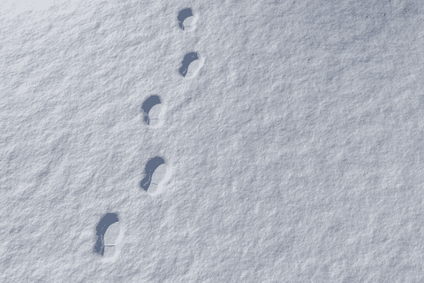 footprints in pristine snow showing transparent human path - Download Free Stock Videos Pikwizard.com